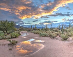 Arizona watershed landscape