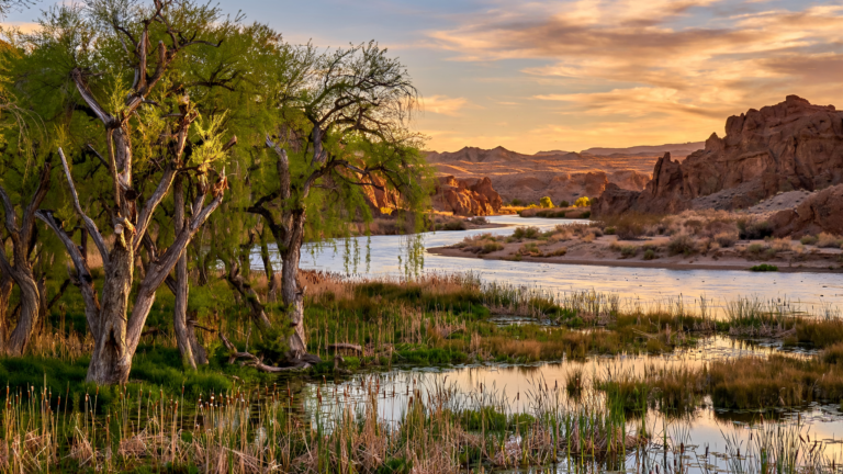 Havasu National Wildlife Refuge: The Arizona River Landscape That Keeps a Desert Passage Open