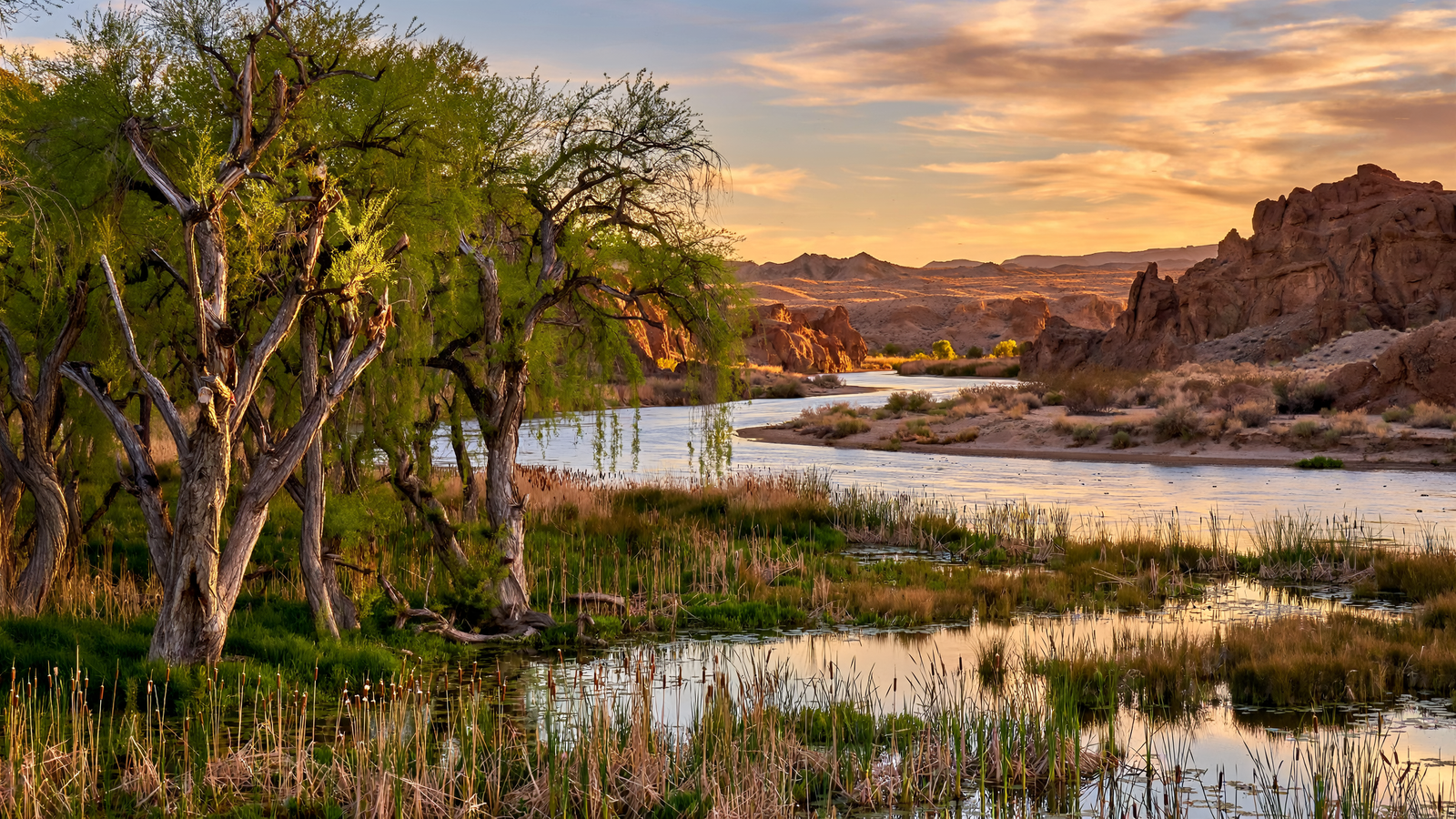 Havasu National Wildlife Refuge: The Arizona River Landscape That Keeps a Desert Passage Open