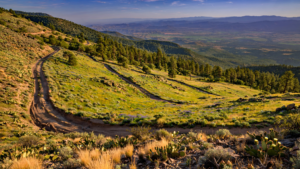 Mingus Mountain: The Yavapai County Ridge Where Desert Meets Forest Mingus Mountain: The Yavapai County Ridge Where Desert Meets Forest