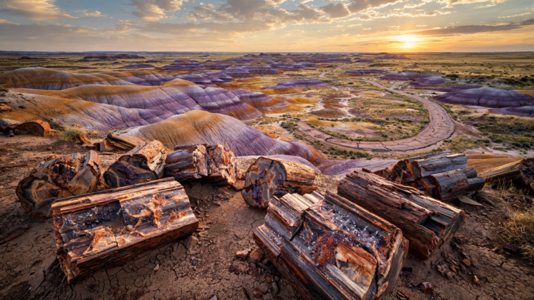 Petrified Forest: The Arizona Place Where Deep Time Meets an Open Road