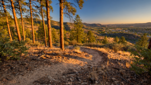 Prescott National Forest: How a Working Forest Holds a High-Desert City Together Prescott National Forest: How a Working Forest Holds a High-Desert City Together
