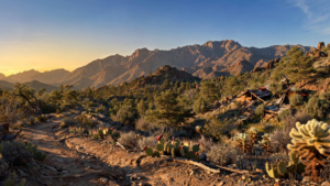 The Bradshaw Mountains: How Yavapai County’s Old Range Became a Public Landscape