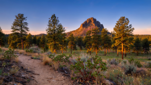 Thumb Butte: The Prescott Landmark That Keeps a Working Forest Close Thumb Butte: The Prescott Landmark That Keeps a Working Forest Close