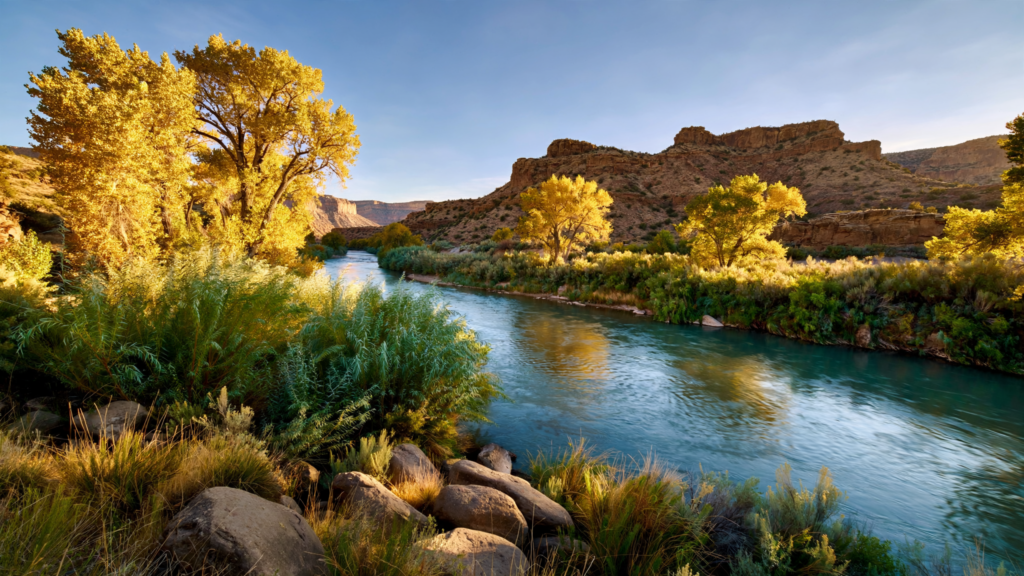The Verde River Greenway: A Living Corridor Beside Cottonwood